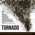 Isolated abstract black color tornado of dust in low poly style on white background banner, garbage hurricane vector Royalty Free Stock Photo