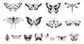 Isolated abstract butterflies black silhouettes. Butterfly decorative graphics, mystic nature tattoo stylized design