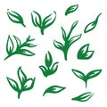 Leaves icons set on white background isolated on white background. Illustartion in hand drawn style Royalty Free Stock Photo