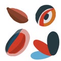 Isolated abstract modern oval shapes