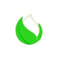 Isolated abstract white drop of milk in green fresh leaf logo. Dairy products logotype. Sour cream or kefir icon