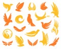 Isolated abstract yellow and orange color birds silhouettes logos collection on white background, wings and feathers Royalty Free Stock Photo