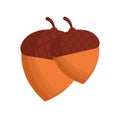 Isolated acorns fruit vector design