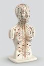 Isolated Acupuncture Figure of Chinese Medicine on White Background Royalty Free Stock Photo