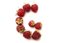 Isolated alphabet letter lined with fresh raspberries