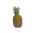 Isolated ananas. Element of design. Royalty Free Stock Photo