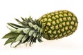 Isolated ananas fruit