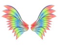 Anděl nebo pták křídla 