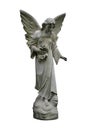 Isolated Angel Royalty Free Stock Photo