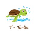 Isolated animal alphabet for the kids,T for Turtle Royalty Free Stock Photo