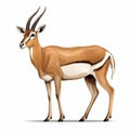 isolated antelope on white background. Springbok, Antidorcas marsupialis. generative ai