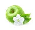 Isolated apple flower and green apple