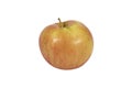 Isolated Apple. Yellow-orange Apple, isolated, on white background Royalty Free Stock Photo