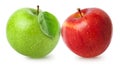 Isolated appleS. Two green and red apple fruit isolated on white background Royalty Free Stock Photo