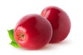 Isolated apples. Two whole red, pink apple fruit with leaves isolated on white, with clipping path. Royalty Free Stock Photo