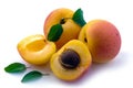 Isolated apricot. Fresh cut apricot fruits isolated