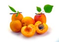 Isolated apricot. Fresh cut apricot fruits isolated Royalty Free Stock Photo