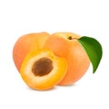 Isolated apricot. Fresh cut apricot fruits isolated on white background, with clipping path Royalty Free Stock Photo