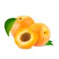 Isolated apricot. Fresh cut apricot fruits isolated on white background, with clipping path. Royalty Free Stock Photo