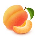 Isolated apricot. Fresh cut apricot fruits isolated on white background, with clipping path Royalty Free Stock Photo