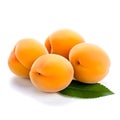 Isolated apricots. Fresh apricot fruit isolated on white background Royalty Free Stock Photo