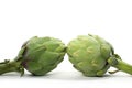 Isolated Artichokes Royalty Free Stock Photo