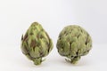 2 isolated artichokes on a white background s Royalty Free Stock Photo