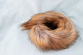 Isolated Artificial Fox faux fur curled up tail closeup