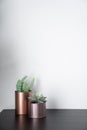 Isolated artificial plants copper vases and standing on black wooden top with white background / interior design / composition ba
