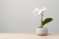 Isolated artificial potted flower plant on wooden table