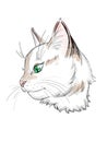 Isolated artistic drawing of a cat profile