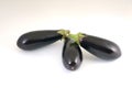 Isolated aubergines