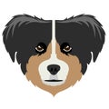 Australian shepherd avatar