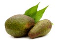 Isolated avocado. Royalty Free Stock Photo