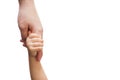 Isolated baby daughter hand holding mother finger Royalty Free Stock Photo