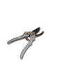 Isolated background pruning shears, Royalty Free Stock Photo