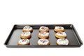 isolated baking tray of gingerbread sugar cookies with christmas sprinkles