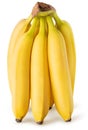 Isolated banana. Bunch of bananas in vertical position isolated on white background with clipping path. Royalty Free Stock Photo