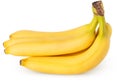 Isolated banana. Fresh bunch of bananas isolated on white background Royalty Free Stock Photo