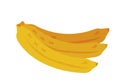 Isolated bananas fruit