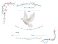 Certificate baptism template with dove and and flowery frame on white background