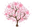 Isolated beautiful cherry blossom tree Royalty Free Stock Photo