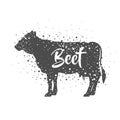 Isolated beet animal design