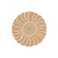 Isolated Beige Nautilus Shell Top View Simple Circular Spiraling Design on White Background Royalty Free Stock Photo