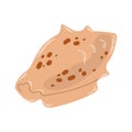 Isolated beige seashell with brown spots in flat hand drawn vector style on white background. Marine life.