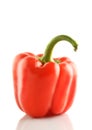 Isolated bell pepper paprika Royalty Free Stock Photo