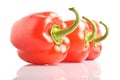 Isolated bell pepper paprika Royalty Free Stock Photo