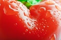 Isolated bell pepper paprika Royalty Free Stock Photo