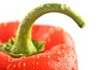 Isolated bell pepper paprika Royalty Free Stock Photo