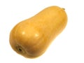An isolated bell pumpkin Royalty Free Stock Photo